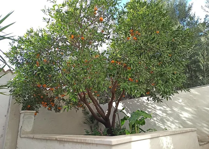 Annalù Iun R5074 Orosei